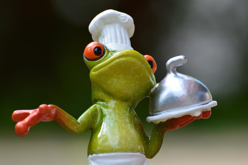 African-European Fusion Cuisine